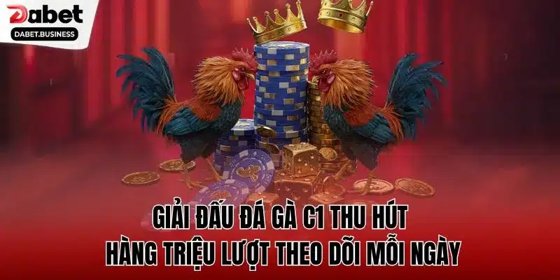 Giải đấu đá gà C1 thu hút hàng triệu lượt theo dõi mỗi ngày